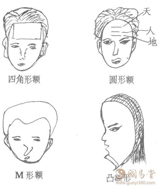 额头看相,面相学额头的相法绝学